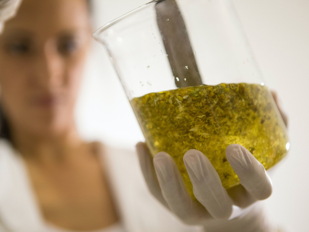 Come riconoscere i Cosmetici Davvero 100% Naturali