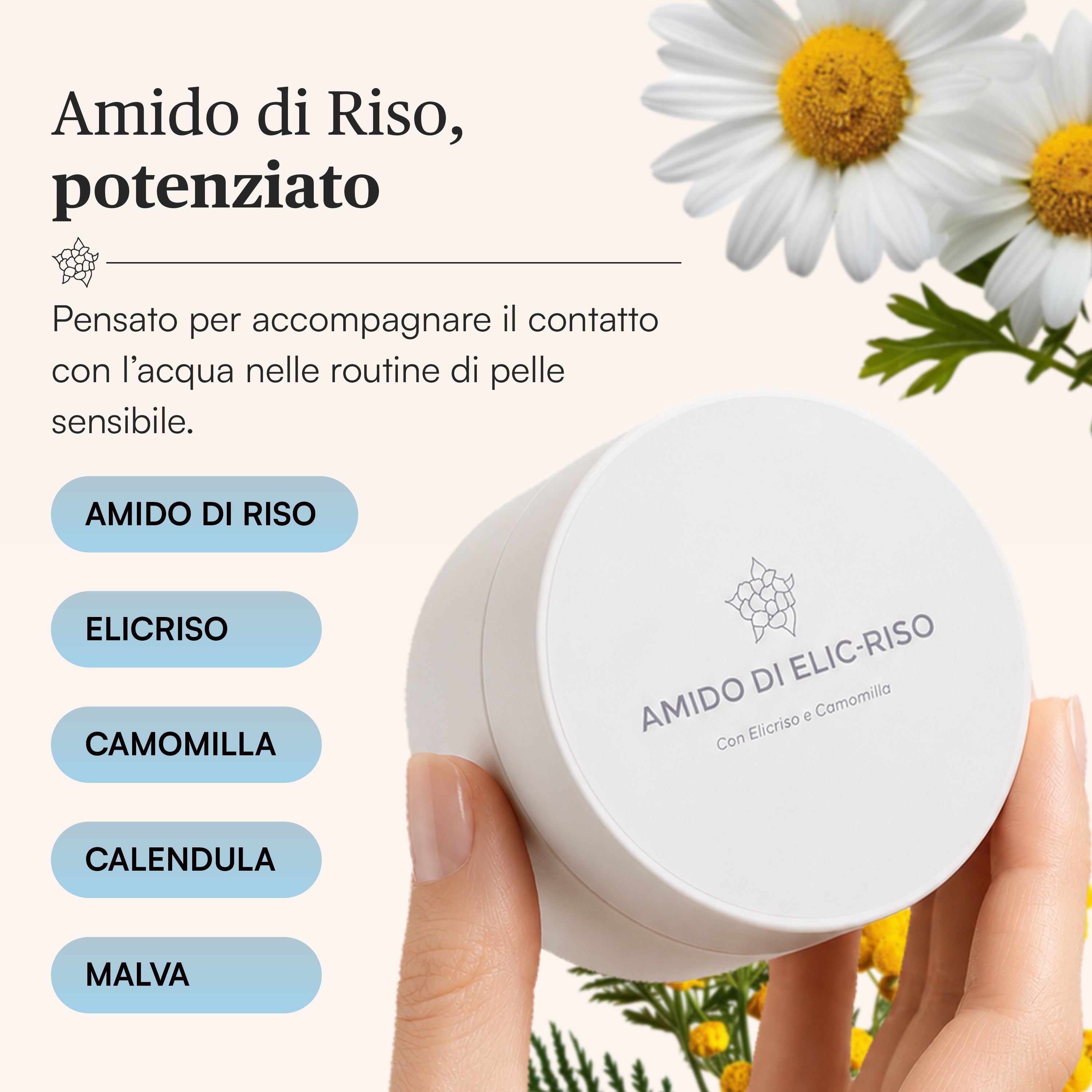 Amido di ElicRiso